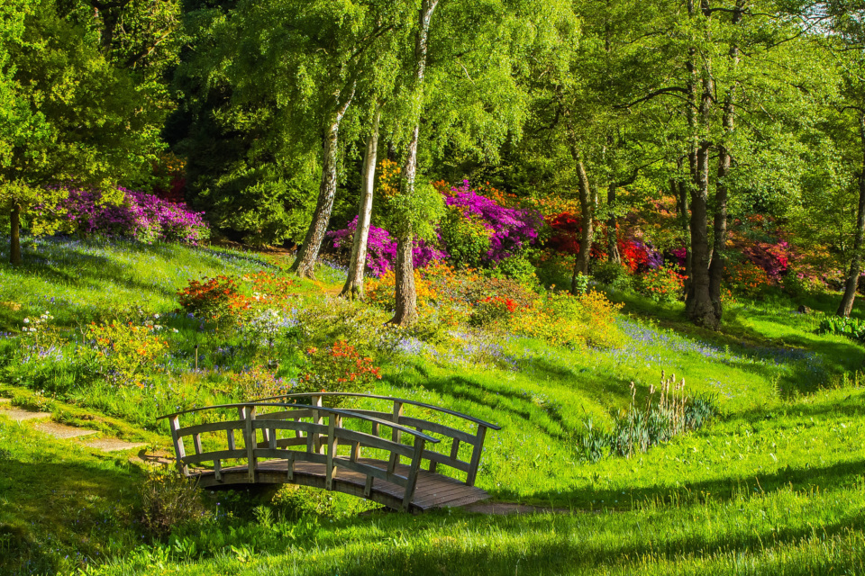 Parco in fiore